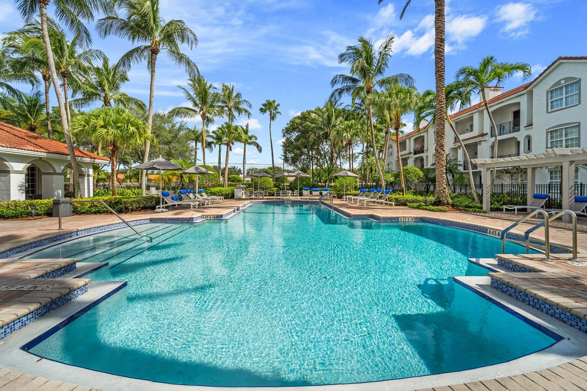 A large swimming pool with palm trees in the background at Windsor Coral Springs, Coral Springs, FL