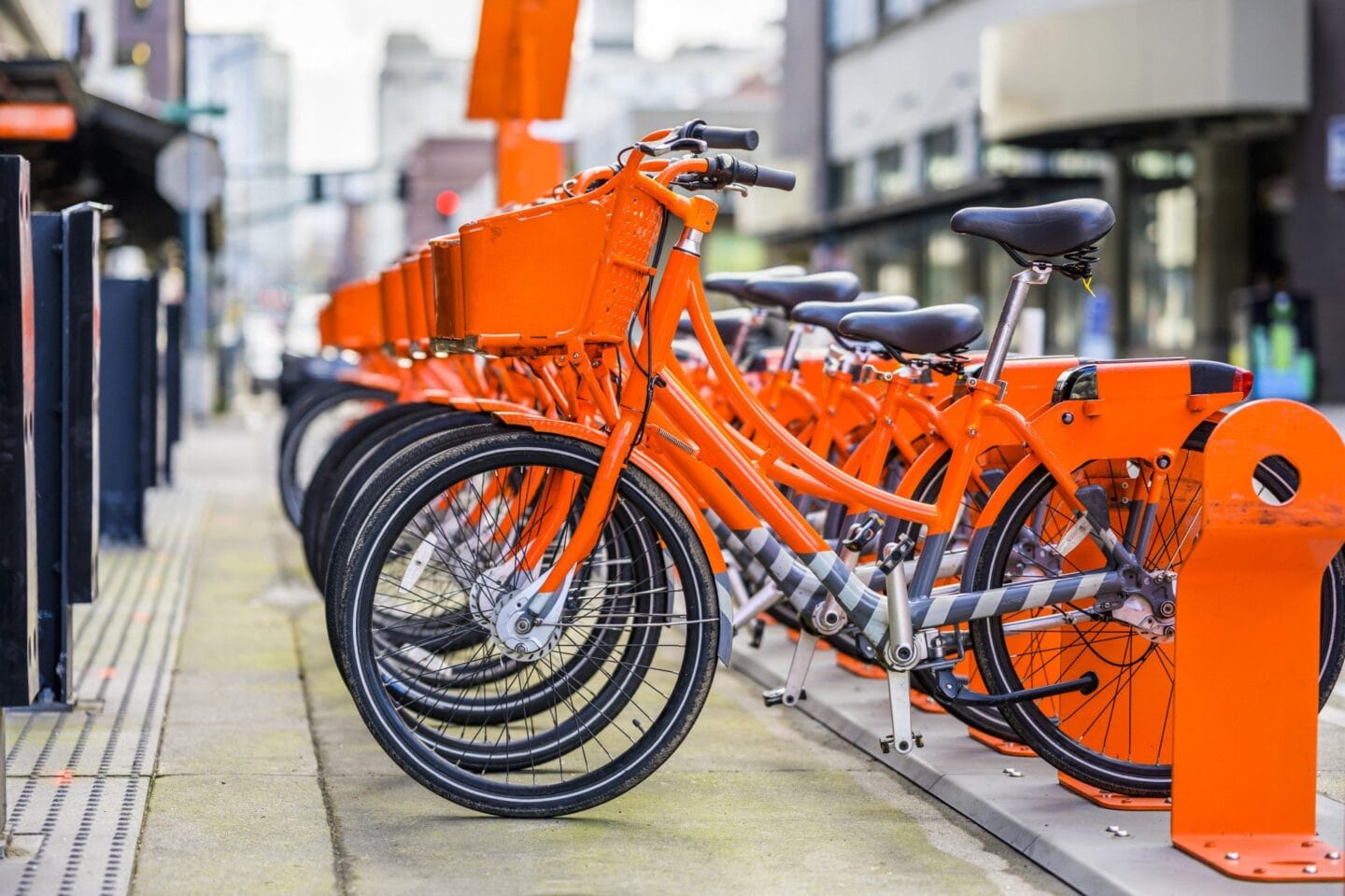 Bike Rental  at Windsor Buckman, Portland, Oregon