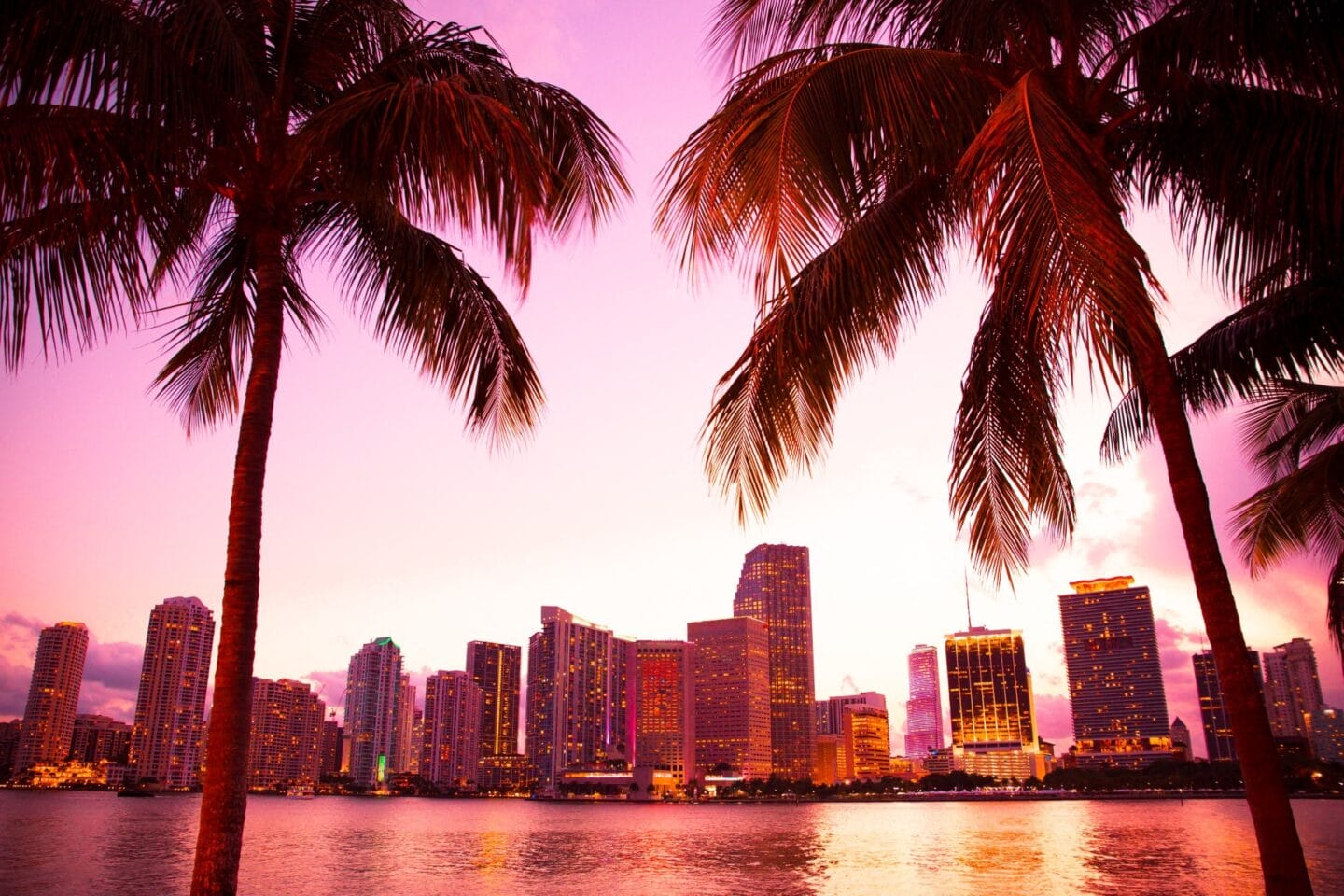 Aerial view of the Miami skyline at sunset with palm trees near Windsor Biscayne Shores in North Miami