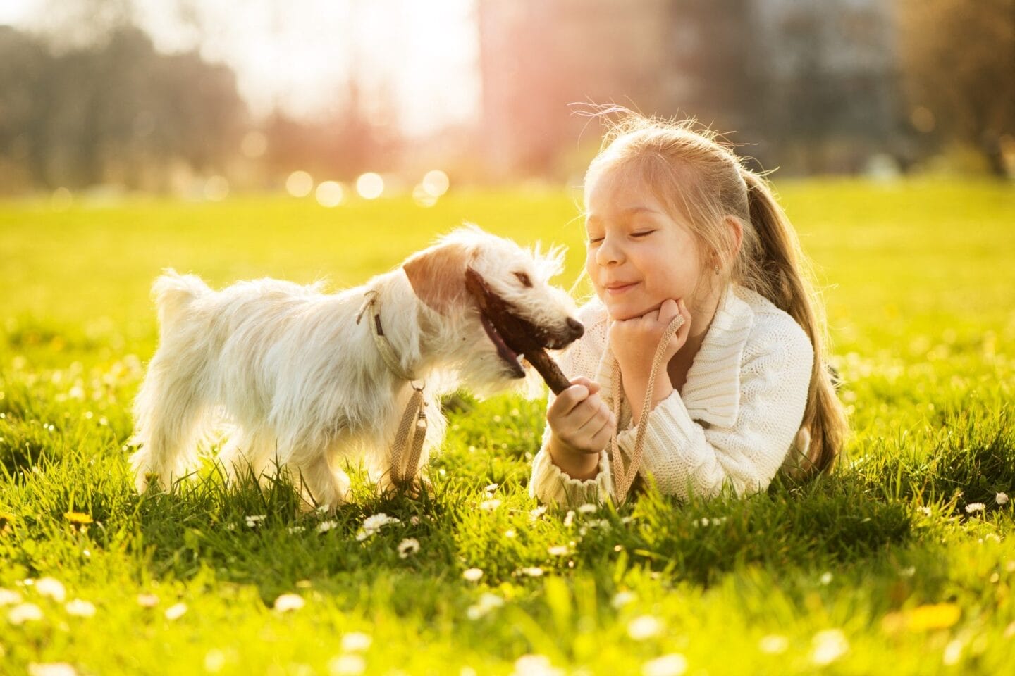 Child playing with dog in a grassy field