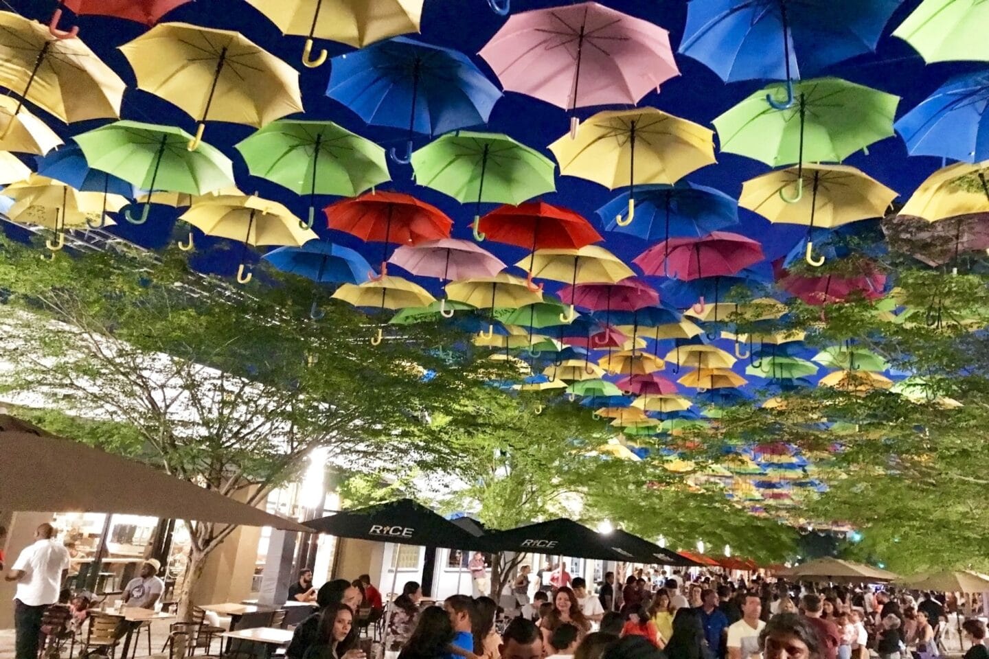 A group of people standing under a bunch of umbrellas near Windsor Ludlam Trail Apartments