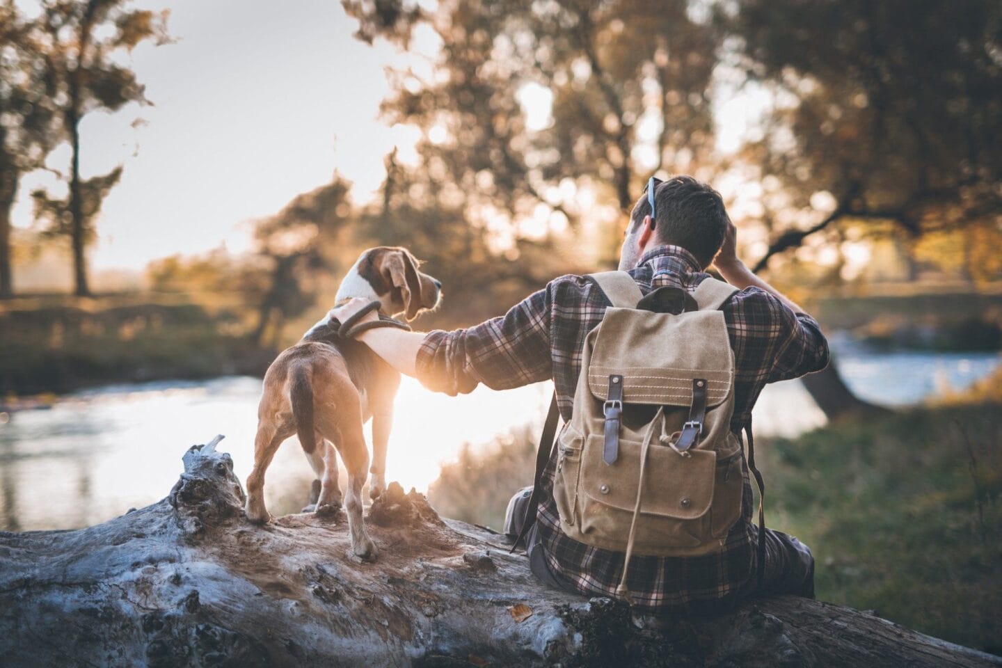 Dog Friendly Apartments at Windsor Westminster, Westminster, Colorado