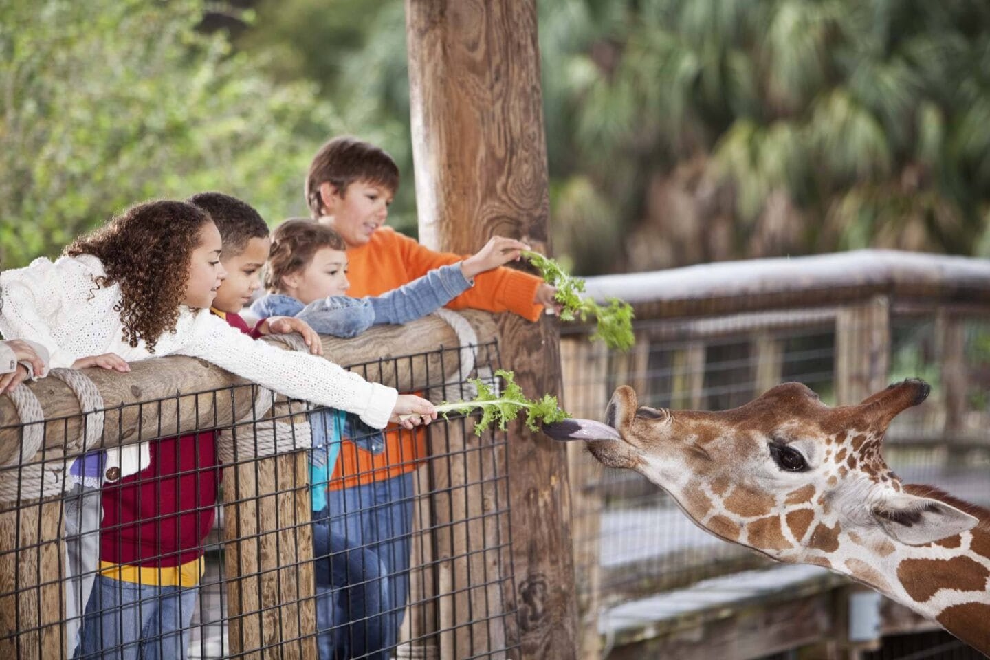 San Diego Zoo is nearby Windsor Rancho PQ in San Diego 92129