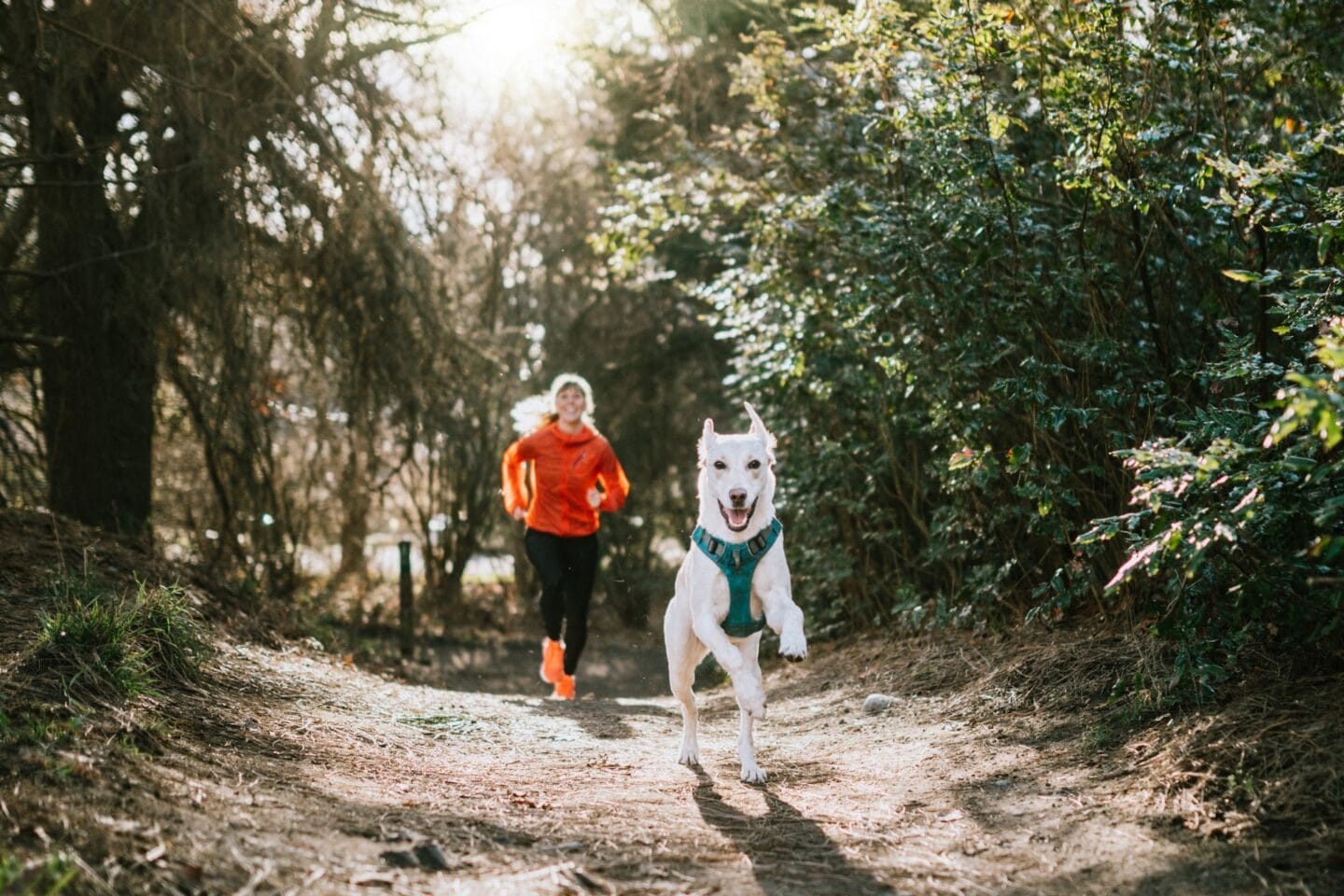 Dog Friendly Community at Windsor Queen Anne, Seattle 98119