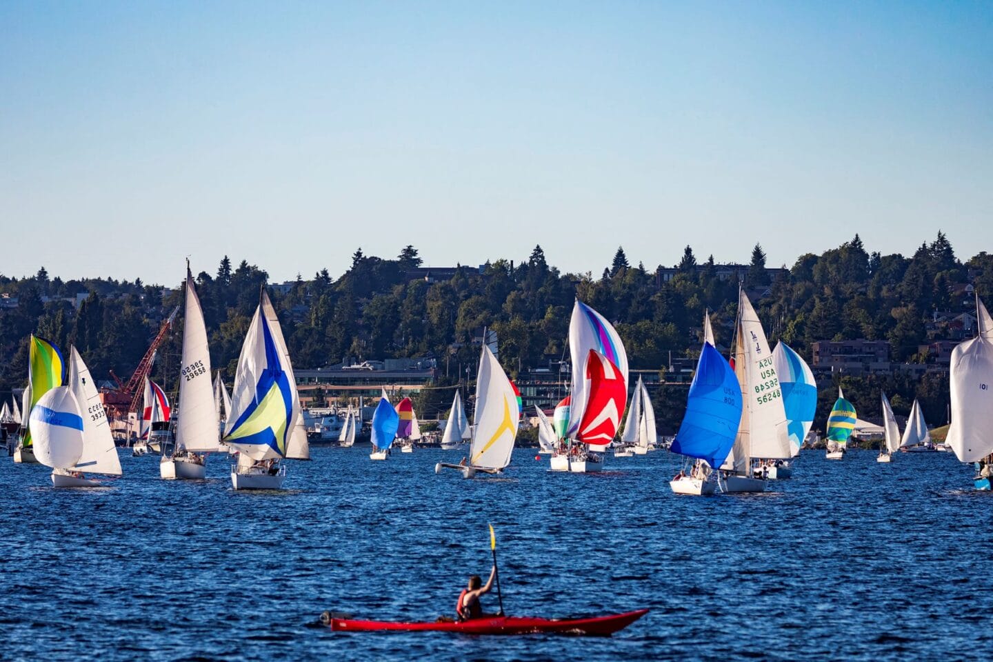 Nearby Sailing Lake at Windsor Queen Anne, Seattle