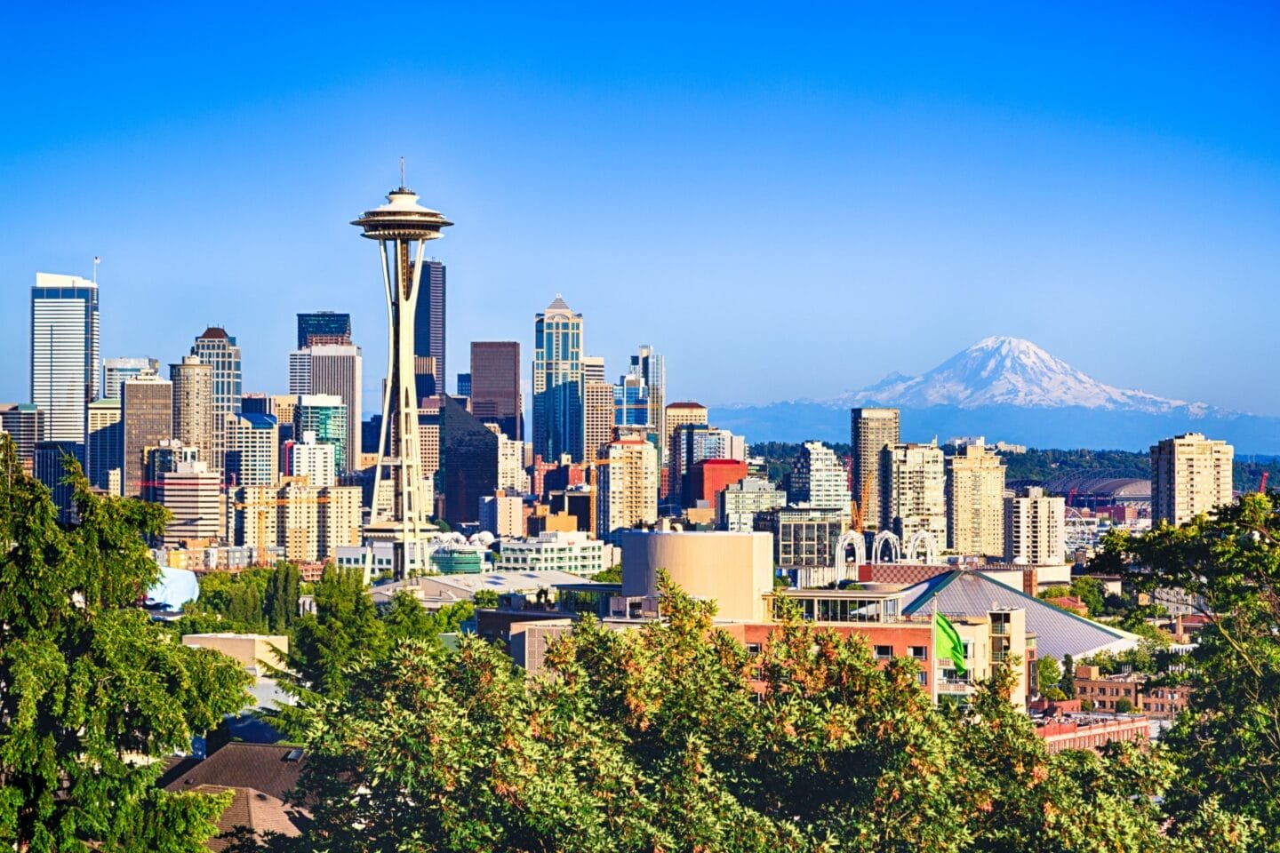 Seattle Skyline near Windsor Queen Anne, Seattle WA