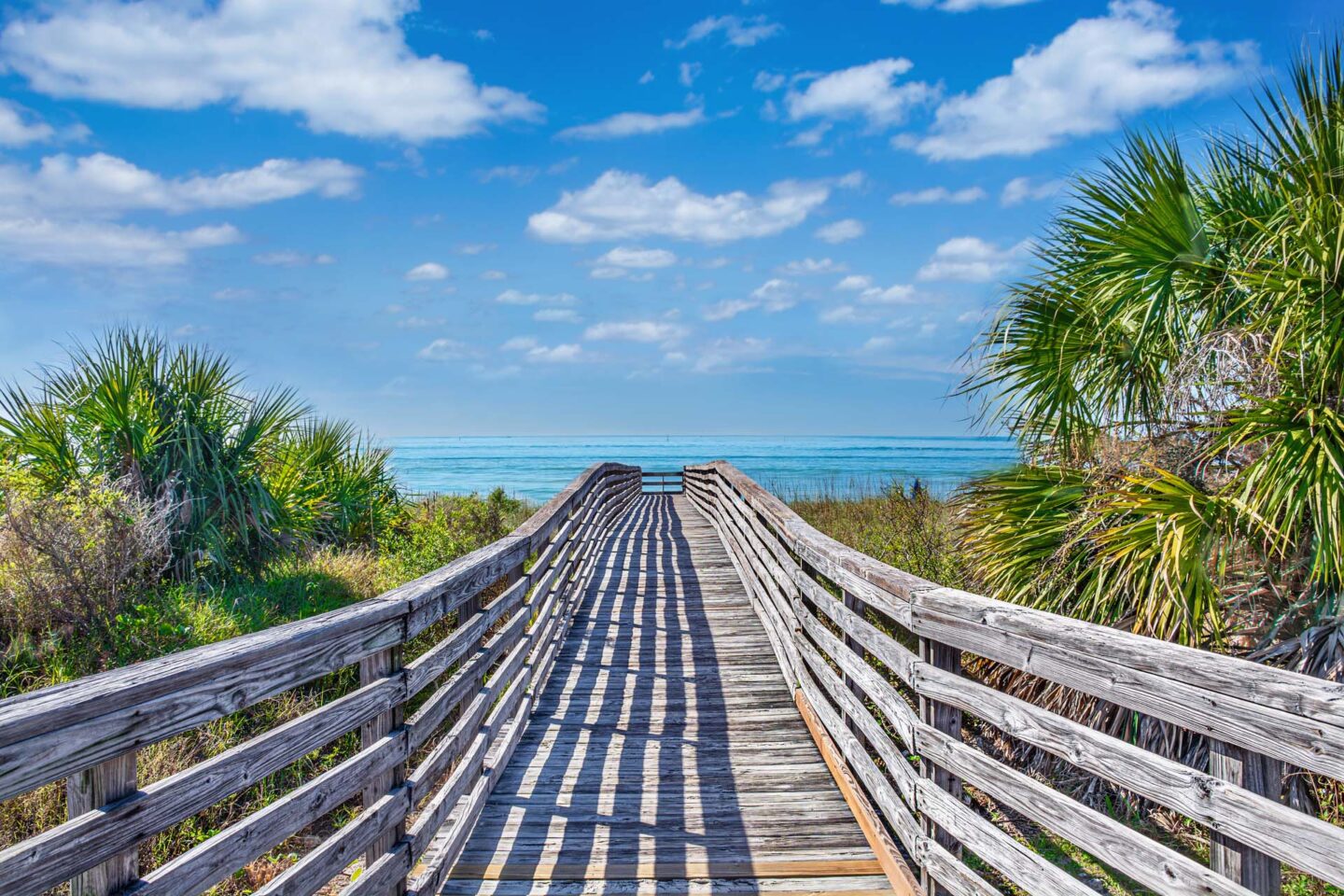 Nearby Honeymoon Island State Park at Windsor Cleartwater, Clearwater, FL 33763