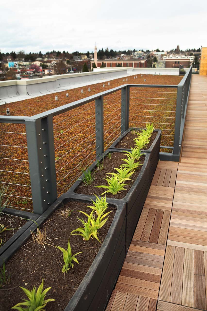 A rooftop garden with a brick wall and wooden deck at Windsor Ballard, 5555 14th Ave NW, Seattle, WA