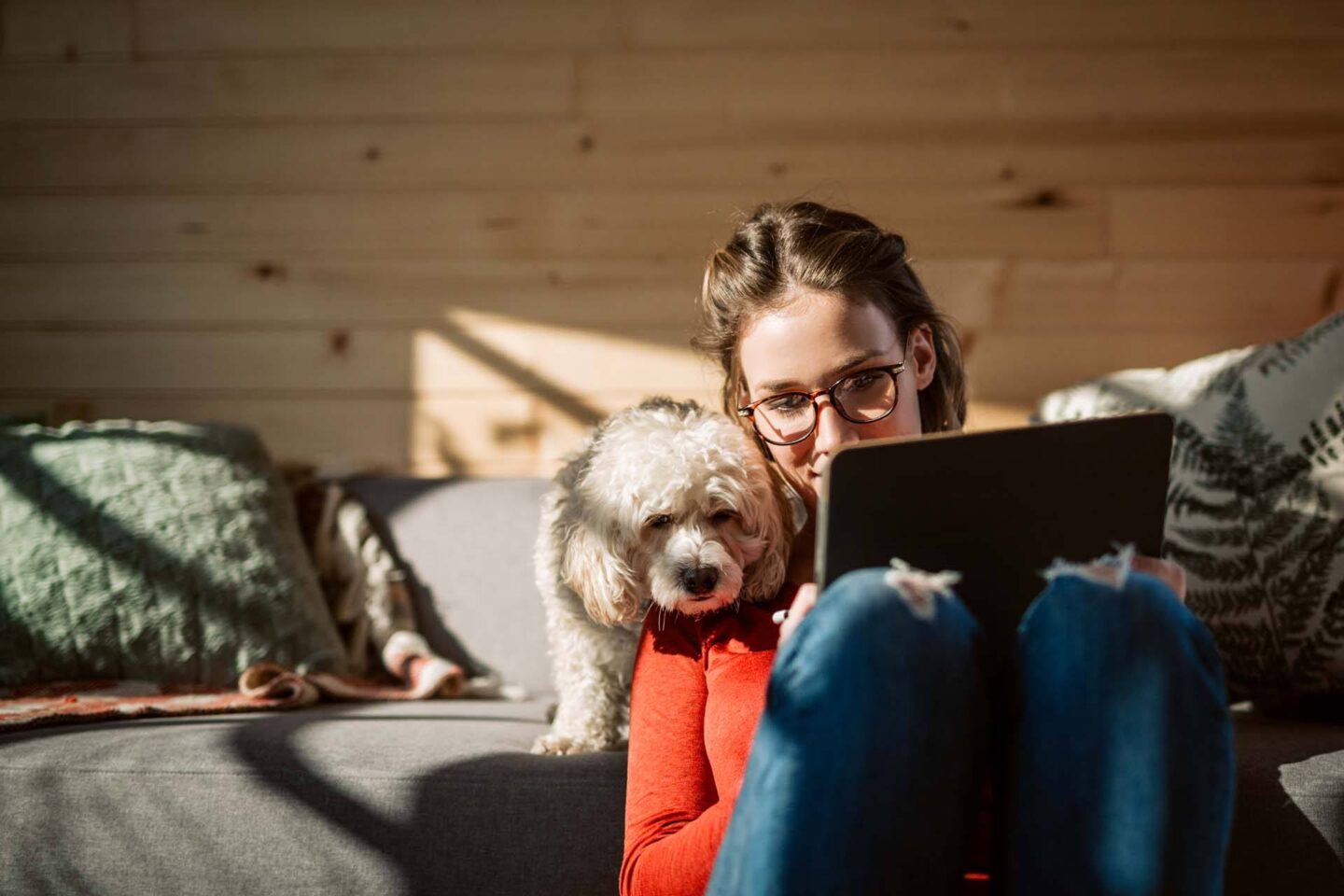 A woman is sitting on a couch with a laptop, wearing red pants and glasses, with a dog on her lap at Windsor North + Vine 633 W North Ave, Chicago, IL 60610.